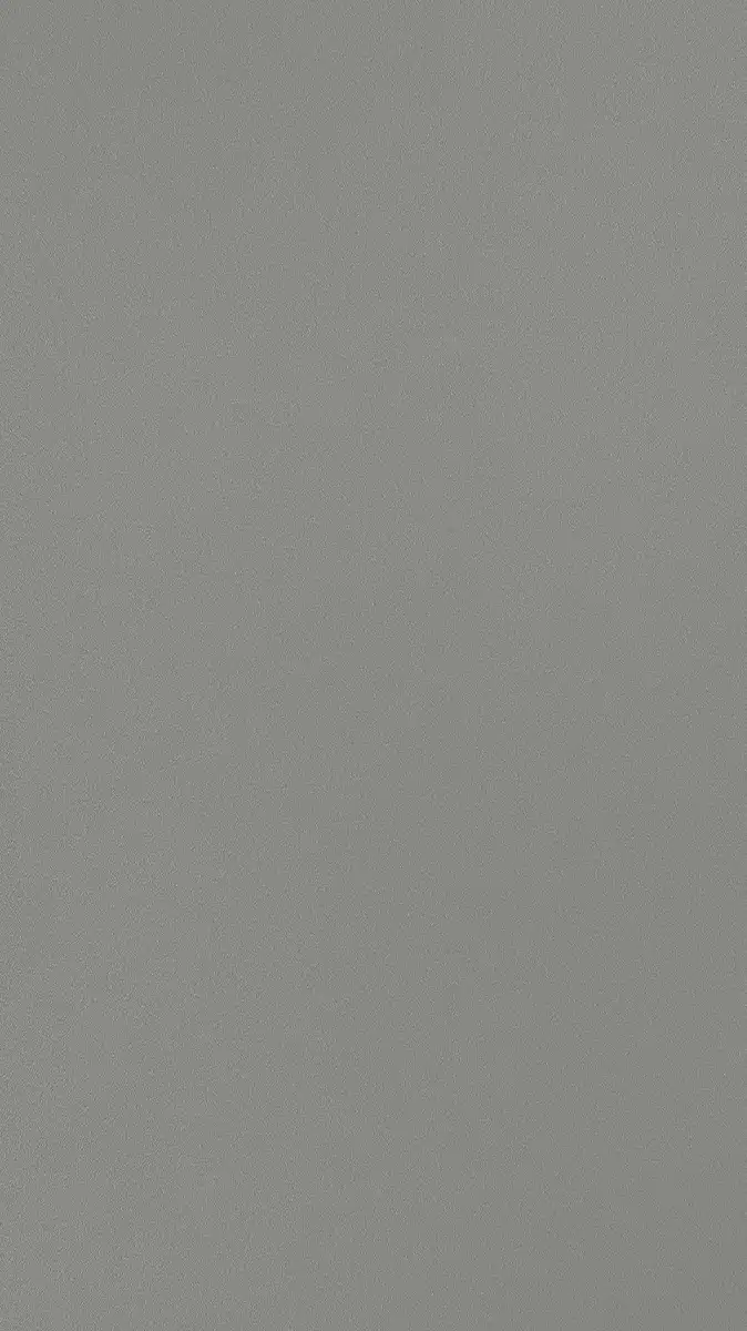 PRO 134 Smoke Silver Metaliic