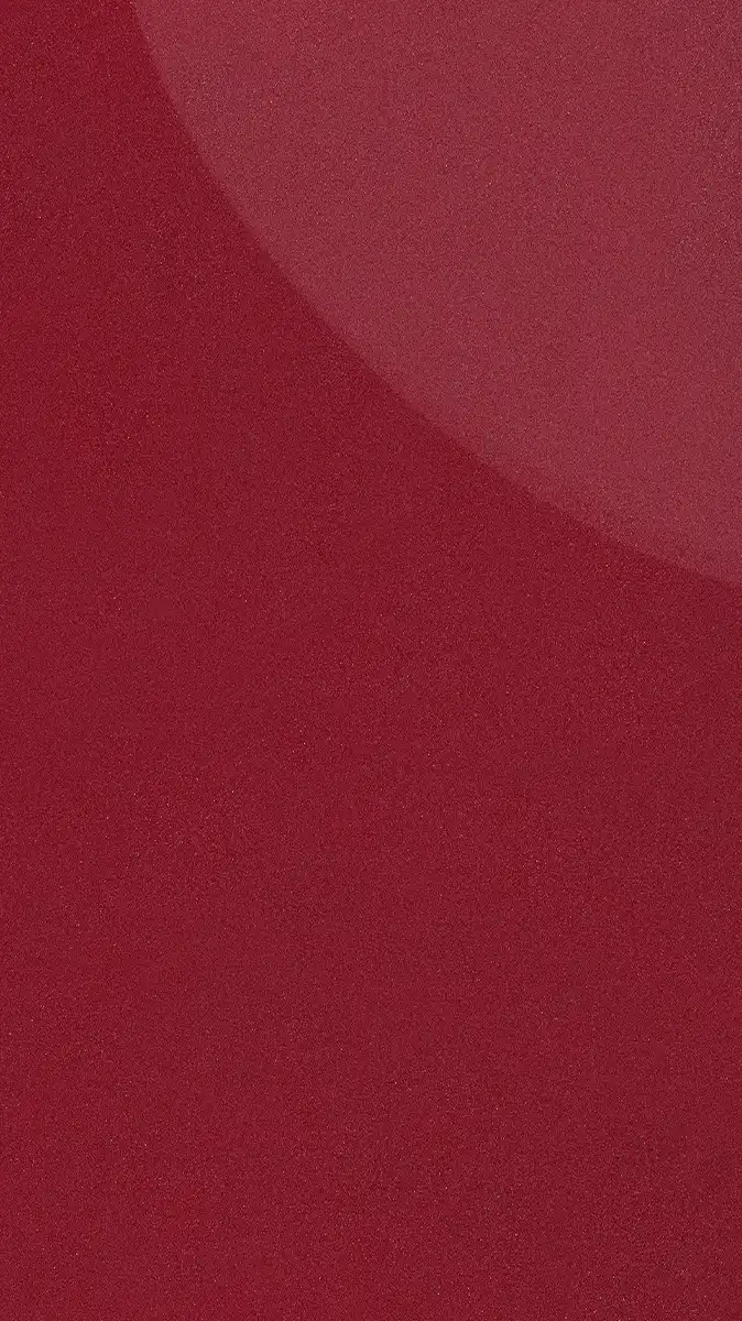 PRO 3777 Vinho Alto Brilho