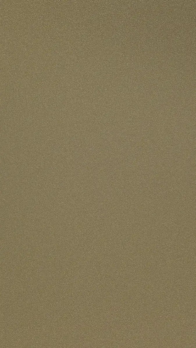 PRO 5818 Bronze 1001